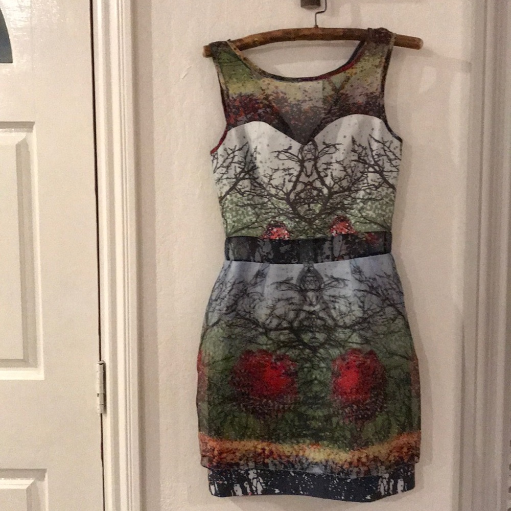 Timo Weiland Forrest dress, sheer panels NWOT